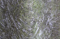 Wayend Street fibreglass roof work